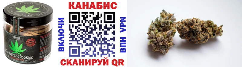 Купить закладки  Новотитаровская  Canna-Cookies марихуана 